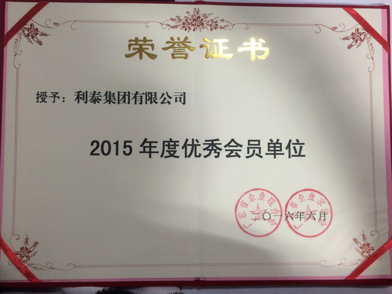 2015年度優(yōu)秀會(huì)員單位-廣東省企業(yè)家協(xié)會(huì)